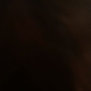 Meet your Posher, Lilly